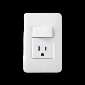 INTERRUPTOR MIXTO